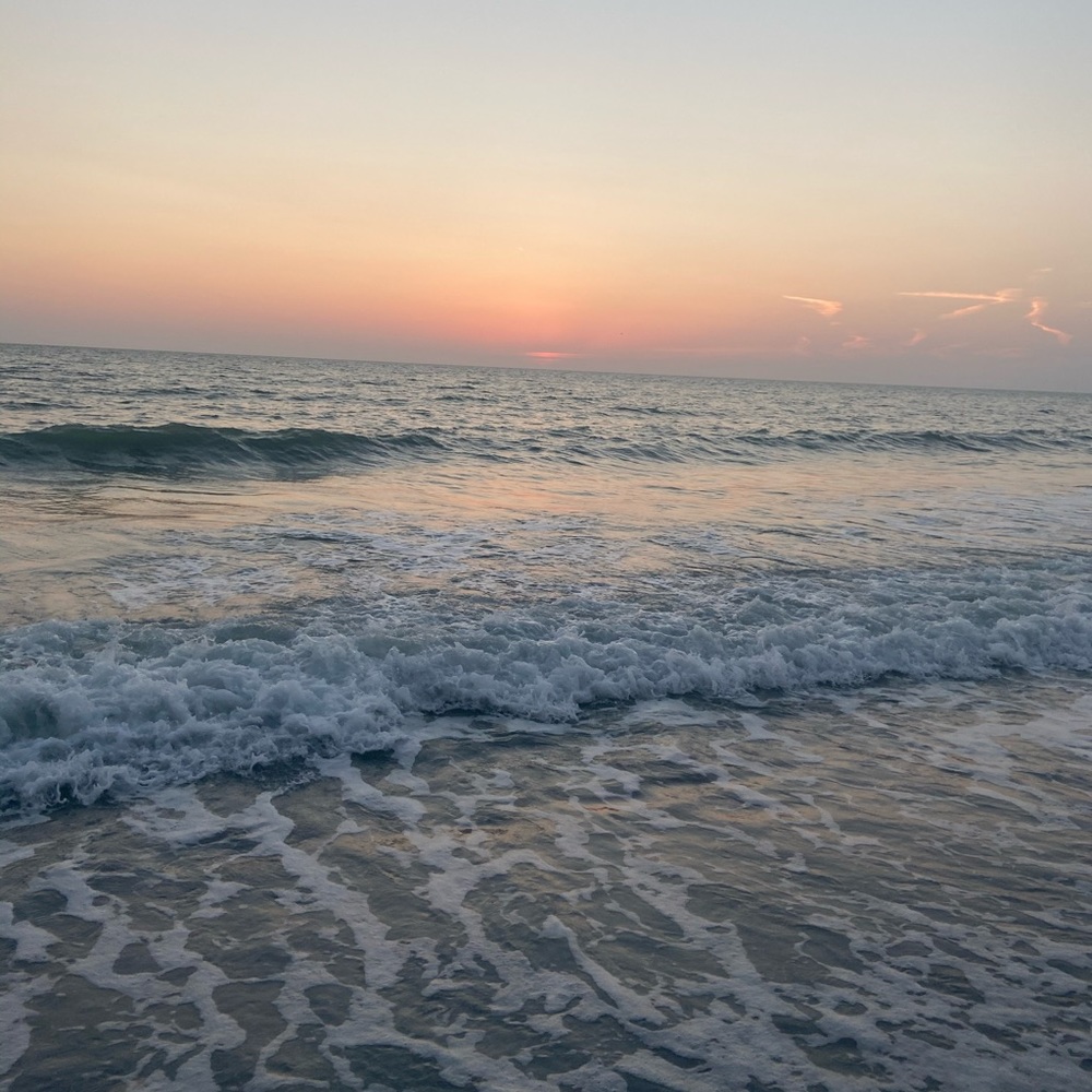 Meet your Posher, Audrey